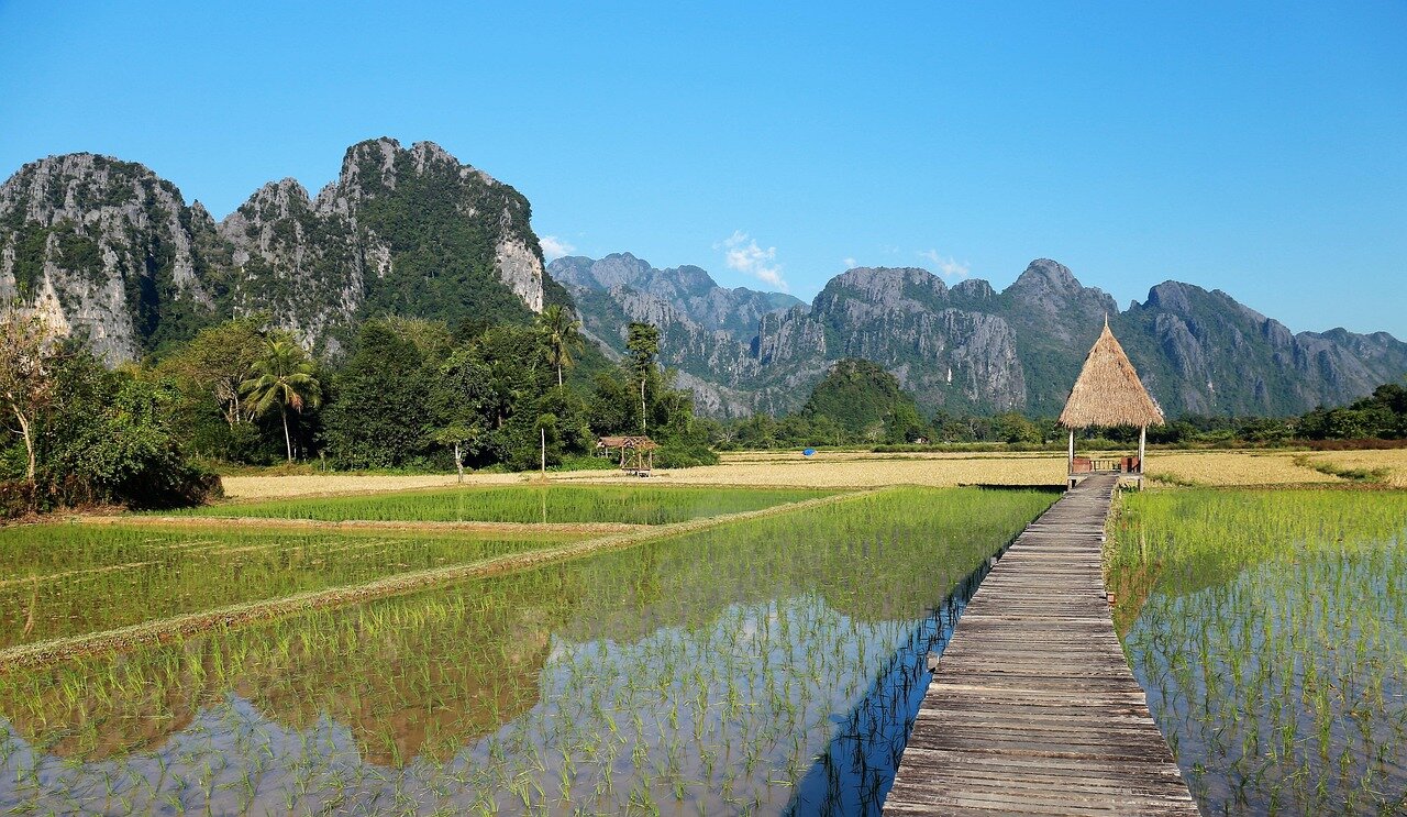 Southeast Asia Laos Rice-field